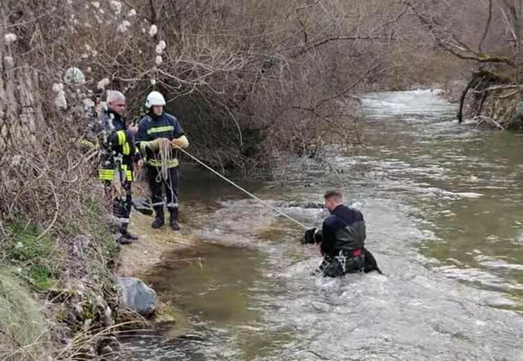 Пожарникарите от Девин спасиха бедстващо ловно куче от буйните води на река Широколъшка
