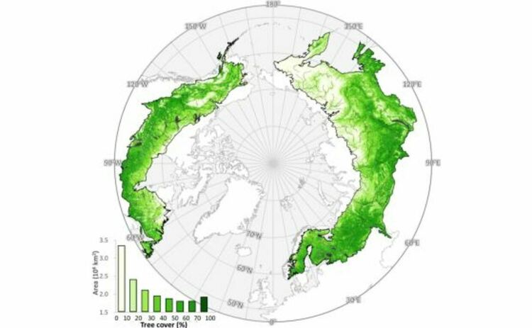 Разпределение на бореалната растителност в бореалните екорегиони през 2020 г. Показани са оценки от 2020 г. Пропуските в данните, дължащи се на облаци, са запълнени с оценки от по-ранни години. Екорегионите са дефинирани от Dinerstein et al. (2017).
