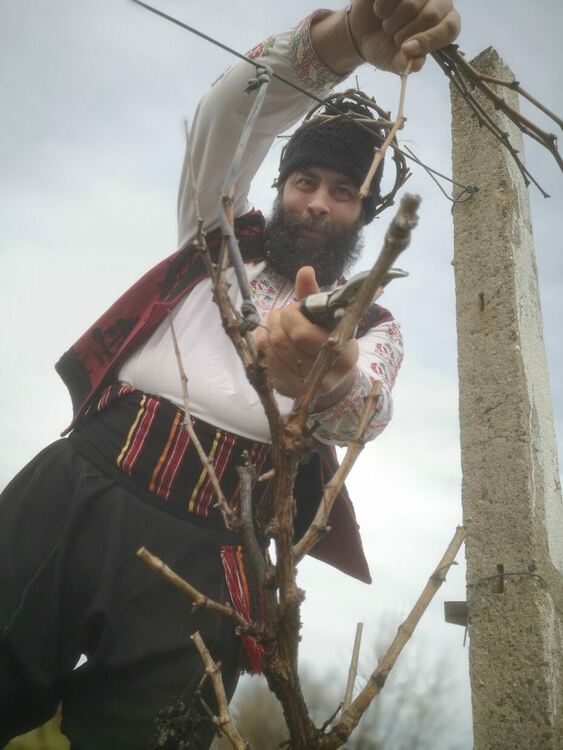 Конкурси за най-доброто вино и тестени изделия проведоха на Трифон Зарезан в с. Мандра 