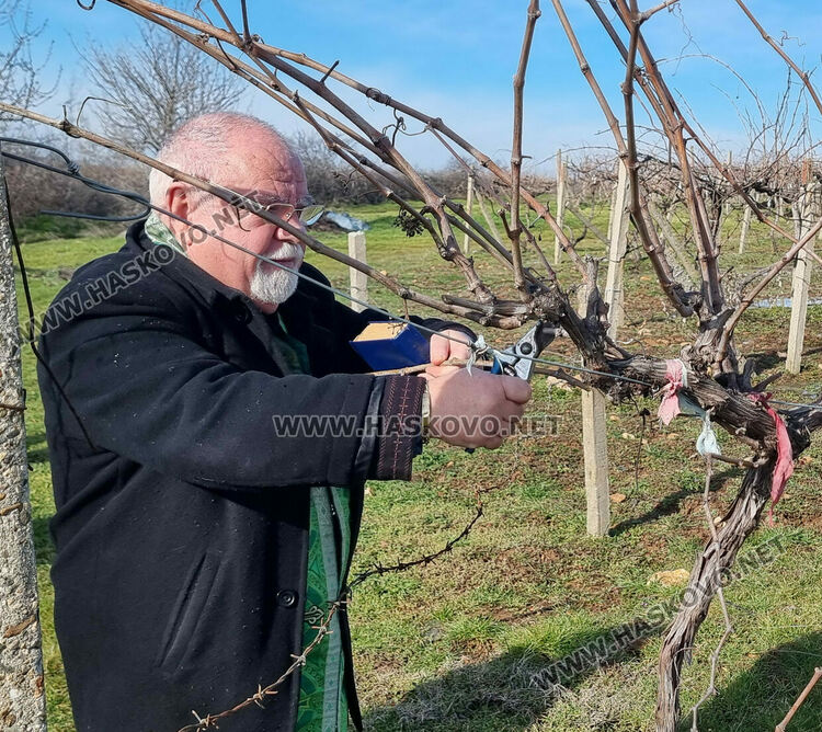 В Сусам зарязаха лозята и празнуваха Трифон Зарезан 