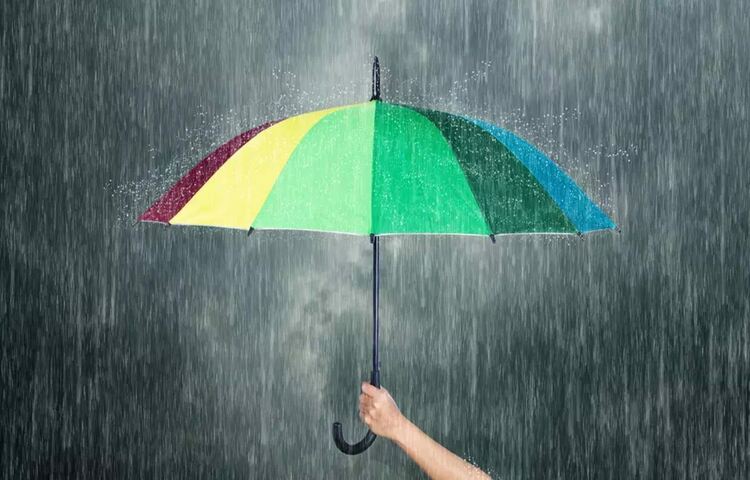 Дъжд и вятър в Хасково днес