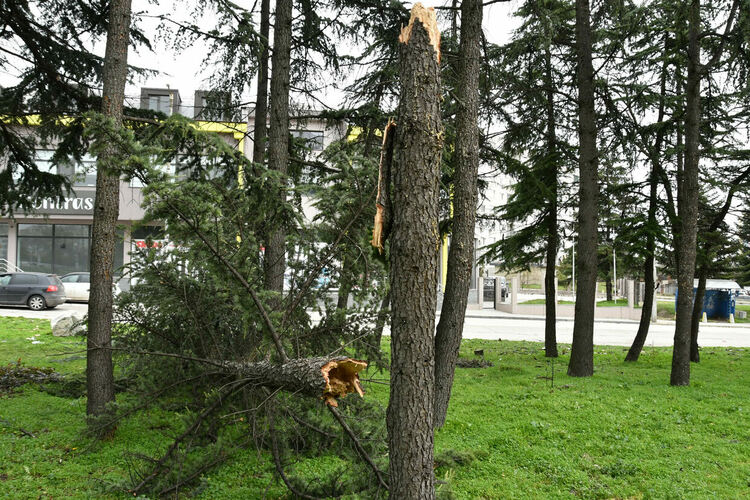 Силният вятър вдигна на крак пожарната в Хасково