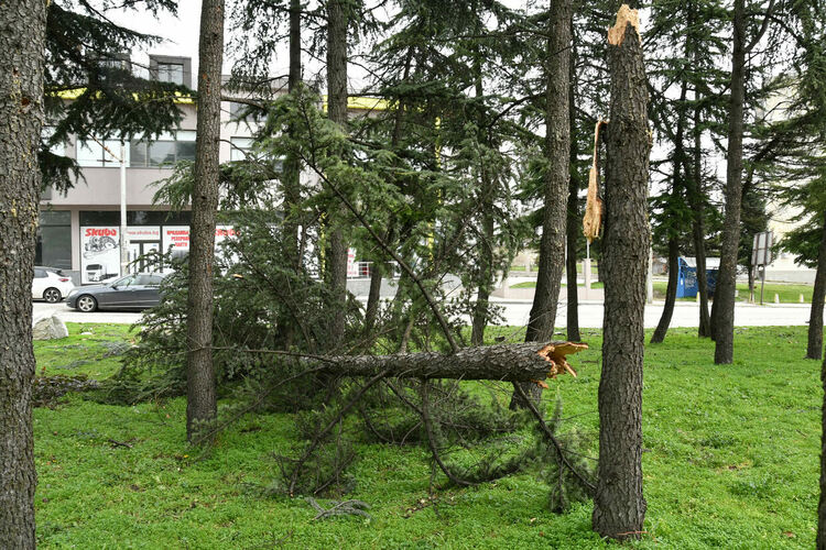 Силният вятър вдигна на крак пожарната в Хасково
