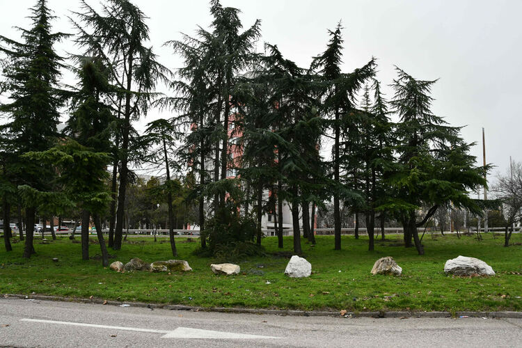 Силният вятър вдигна на крак пожарната в Хасково