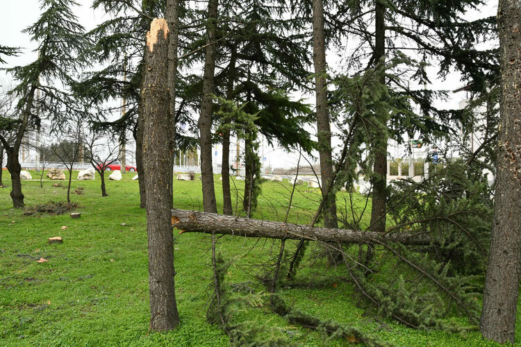 Силният вятър вдигна на крак пожарната в Хасково