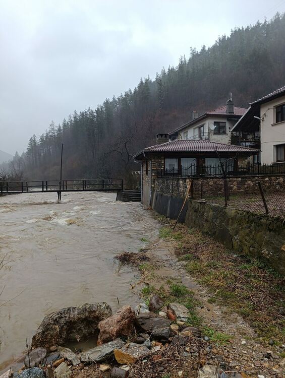 снимката е илюстративна