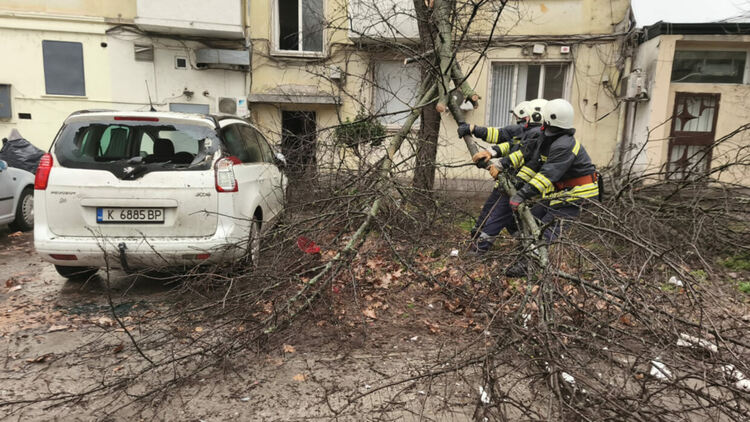 Силният вятър събори клони върху паркиран автомобил в Кърджали,нанесени са щети