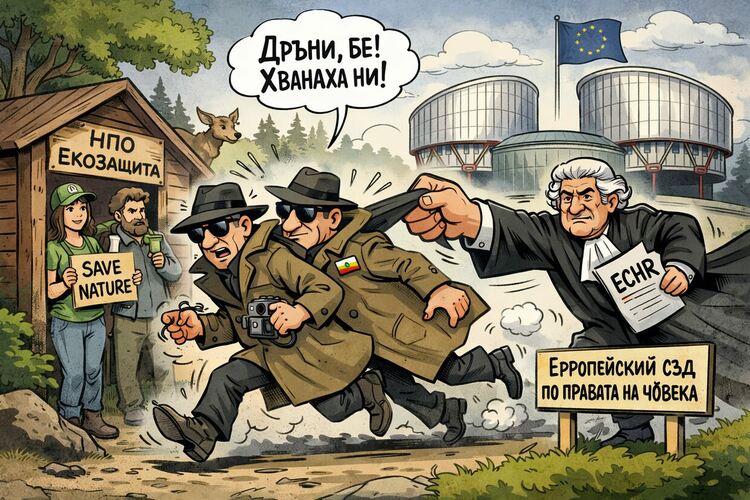 изображени IA