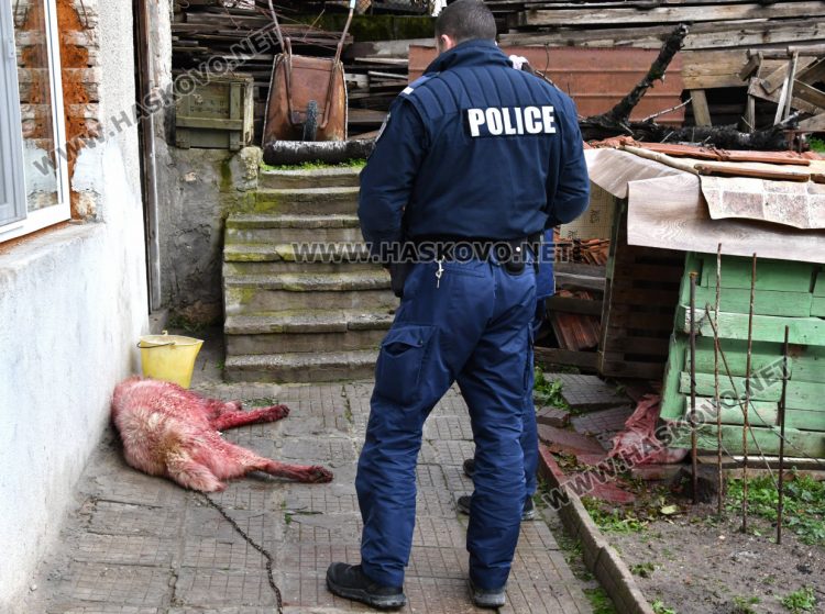 Хасковлия влезе в двора на съседи и намушка куче