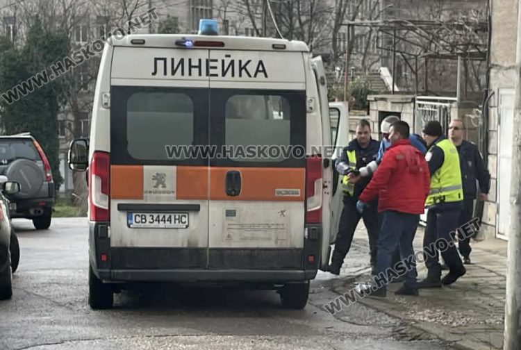 МВР&ndash;Хасково: Няма опасност за прободеното с нож куче и за нападателя