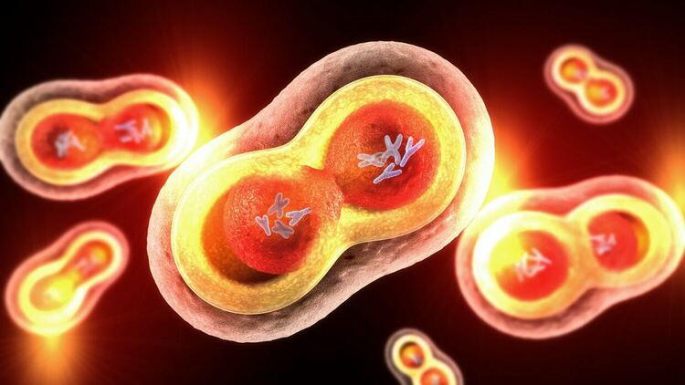 Учени откриха какво ускорява стареенето и увеличава риска от рак при мъжете