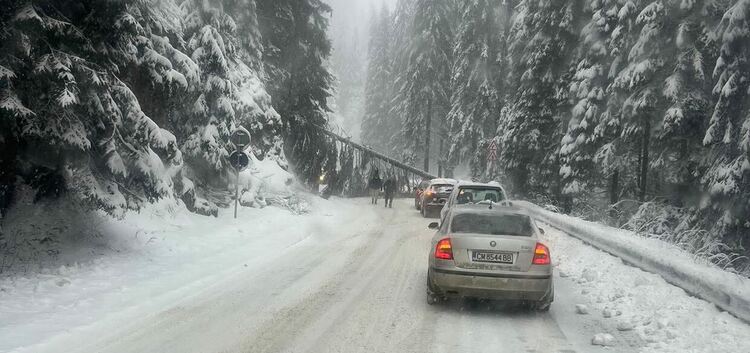 Снимка: Демир Драмалиев, Фейсбук 