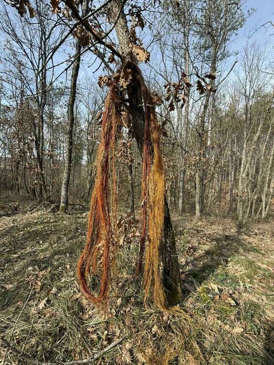 8-метрово &bdquo;коте&ldquo; запушило водопровода на Тънково