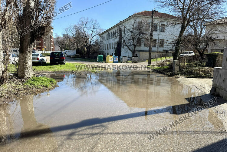 Снимка: 19.02.2026 г.