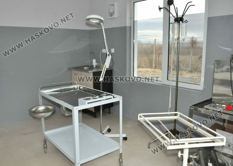 Предлагат програма за овладяване популацията на безстопанствени кучета в Хасково