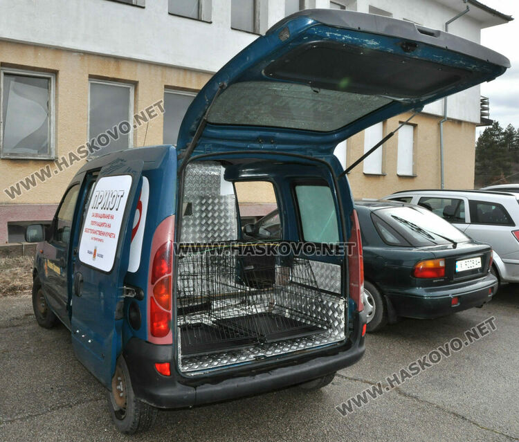 Предлагат програма за овладяване популацията на безстопанствени кучета в Хасково