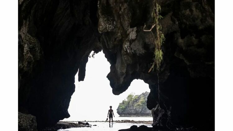 &bdquo;Повелителят на мухите&ldquo; дебютира в HBO Max