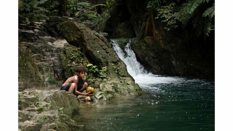 &bdquo;Повелителят на мухите&ldquo; дебютира в HBO Max