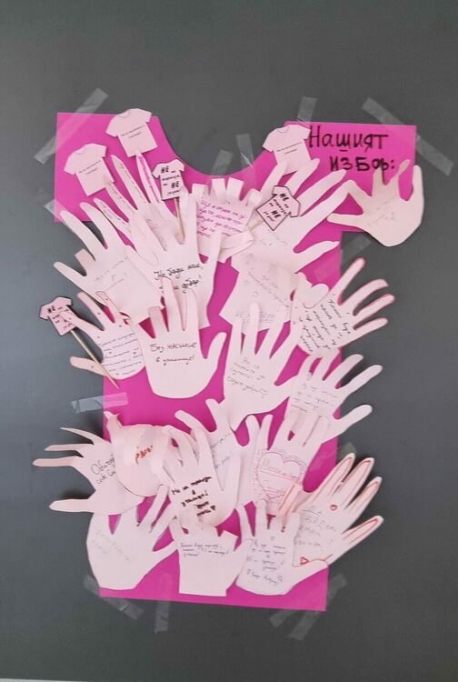 Денят на розовата фланелка в Училище &bdquo;Алеко Константинов&ldquo; &ndash; Димитровград: Заедно срещу тормоза