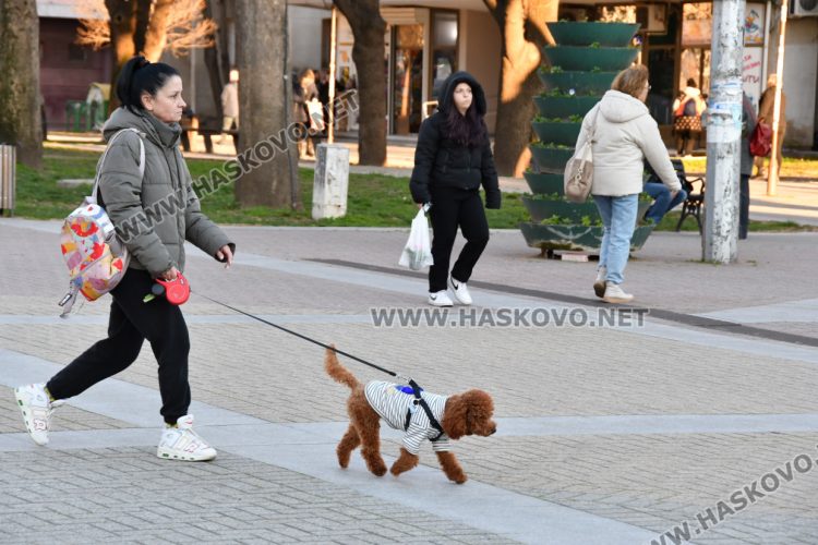 Предимно облачно време в четвъртък
