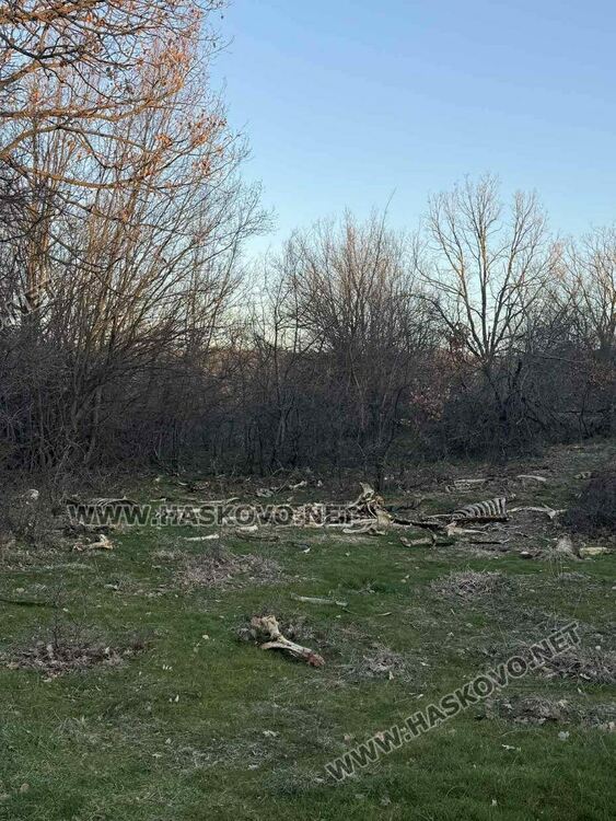 Сигнализираха за много изхвърлени животински кости край Маслиново