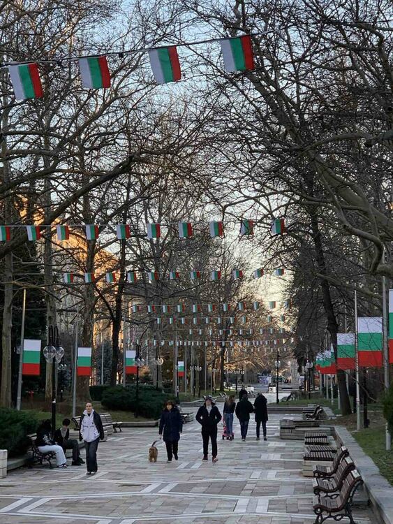 Димитровград в празнична украса за 3 март &ndash; трикольори, 32-метров флаг и патриотична кампания