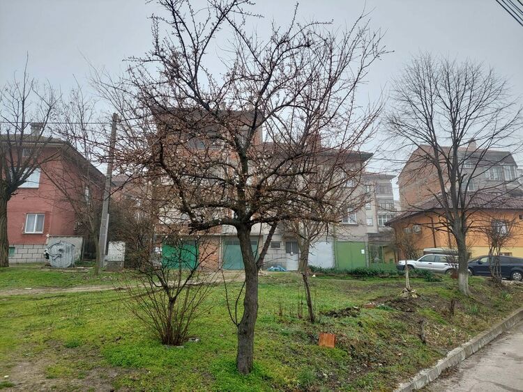 Зимата отстъпва място на пролетта