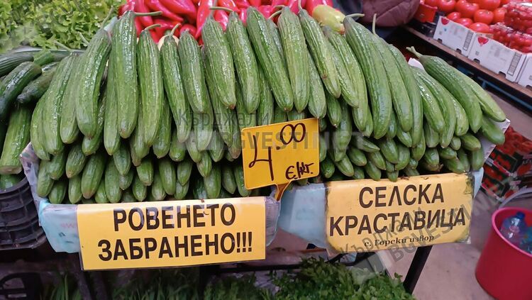 Българските краставици станаха недостъпни за кърджалийци,на Пазара се предлагат за 4 евро/кг,8 лв/кг