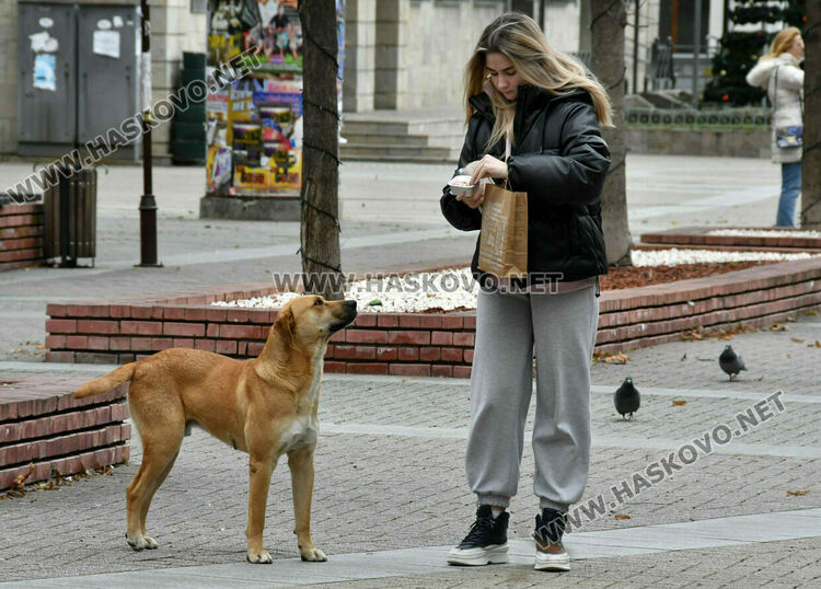 Слънчево и топло, градусите скачат до 16