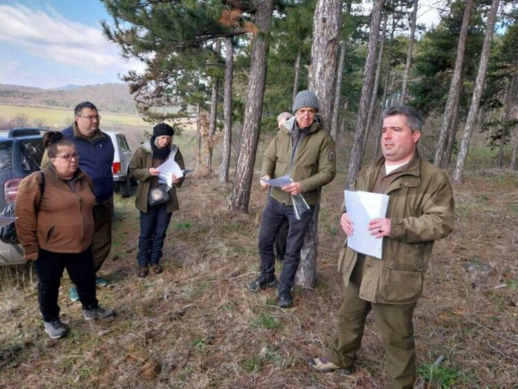 Експерти обсъдиха в Смолянско мониторинга и контрола на боровата процесионка