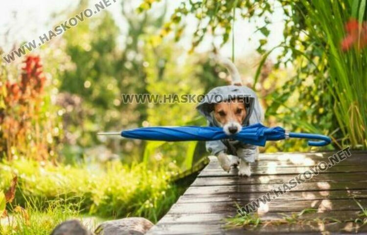 Облачно, в Западна и Централна България ще вали дъжд