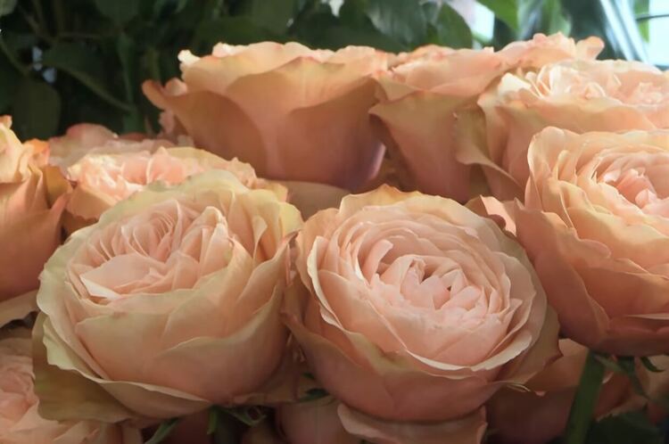 Мъжете започнаха да избират цветя за любимите дами преди 8-ми март 