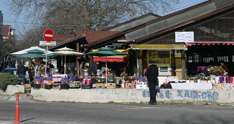 Честит празник, мили дами