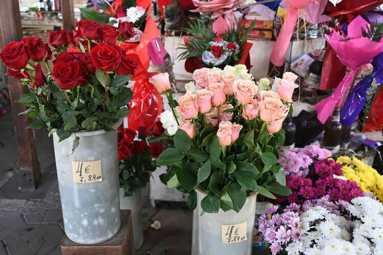 Честит празник, мили дами