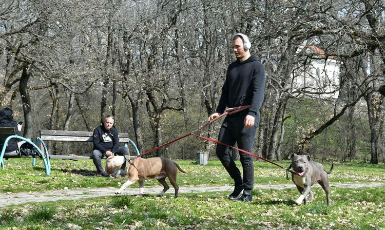 Слънчевият следобед изкара цяло Хасково на Кенана