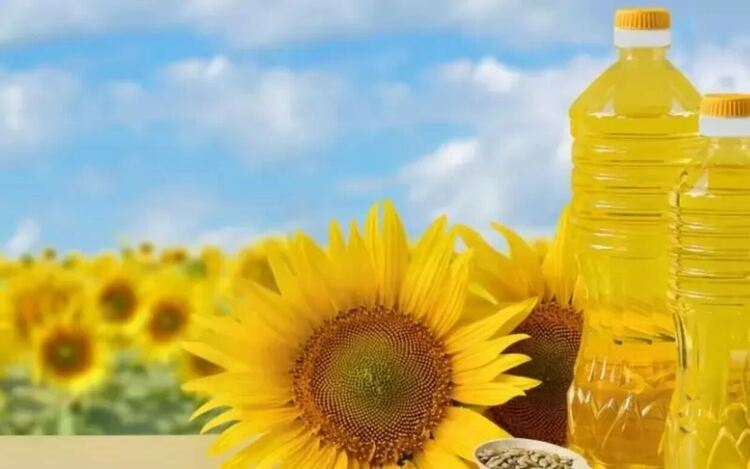 Вторият товар аржентински слънчоглед не става за олио