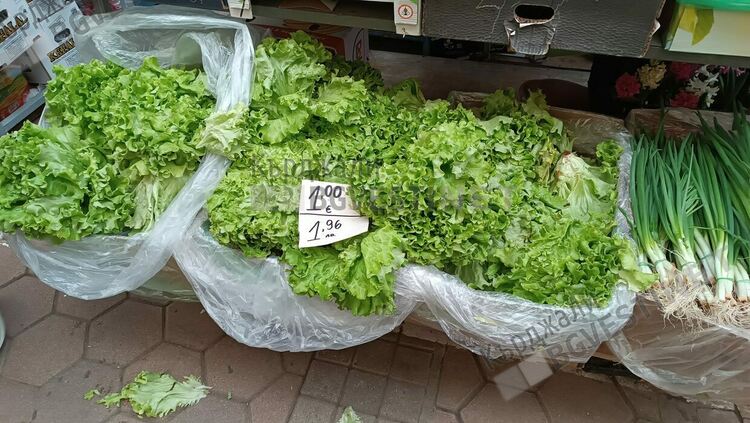 С Еврозоната поскъпна и марулята в Кърджали,от левче вече е едно евро