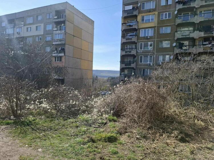 Екипи на Общинско предприятие "Благоустройство и озеленяване" започнаха почистване на междублоковите пространства