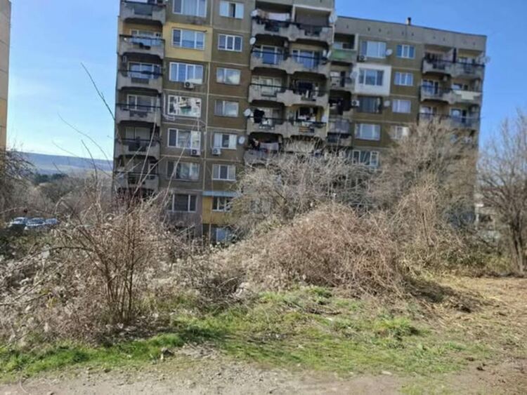 Екипи на Общинско предприятие "Благоустройство и озеленяване" започнаха почистване на междублоковите пространства