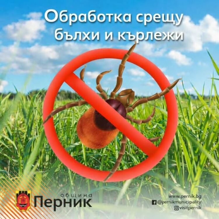 Започва обработката срещу кърлежи и бълхи