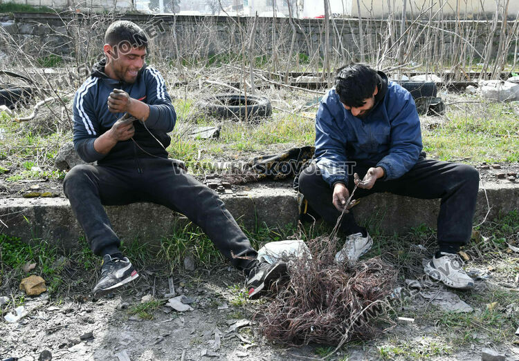 Глобяват двама хасковлии за палене на медни кабели край Сточна гара