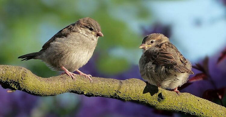 Слънчево време със слаб вятър в петък