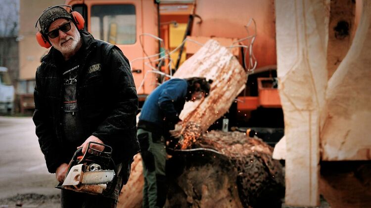 Представят 5 скулптурни инсталации от тополи край реката в Хасково 