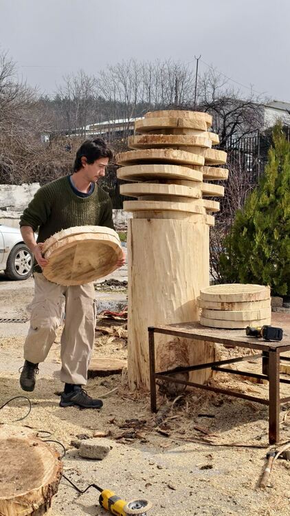 Представят 5 скулптурни инсталации от тополи край реката в Хасково 