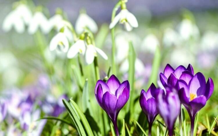 Предимно слънчево време в неделя