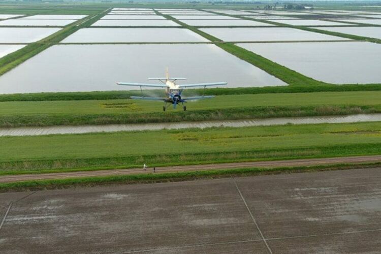 &bdquo;По-лошо от 2022 г." Спреният износ на торове от Близкия изток заплашва света с продоволствен шок