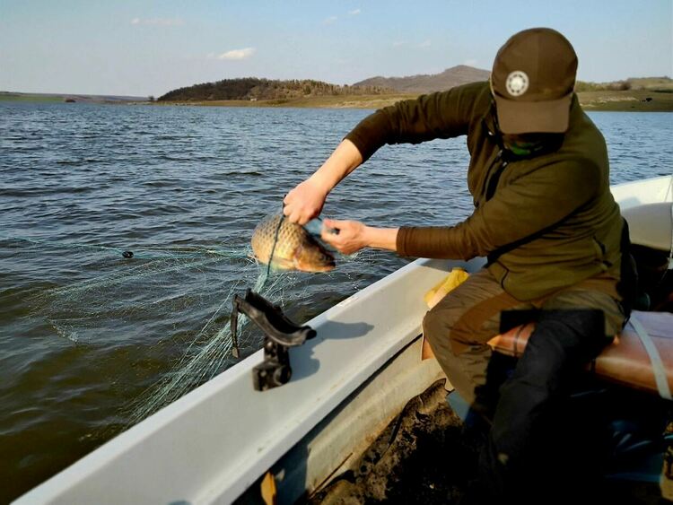 Снимки: ИАРА