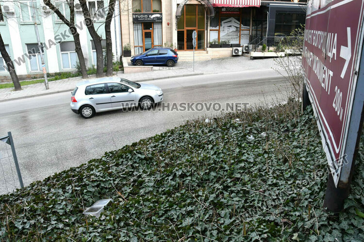 Хасковлии: Вода изби от подпорна стена и потече по бул. &bdquo;Освобождение&ldquo;