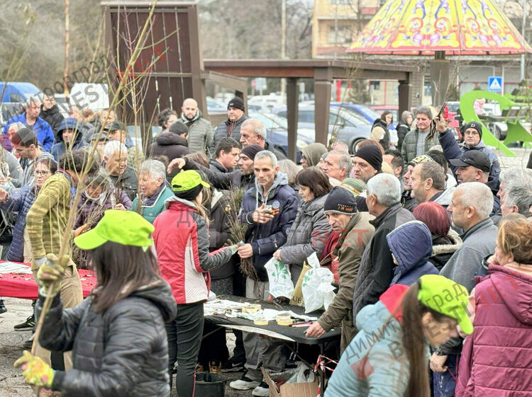 16 000 дръвчета подарява Гората.бг в Димитровград в съботния ден