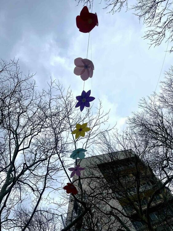 Феерия от цветове за Първа пролет в Димитровград